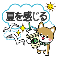 夏を感じる♡豆柴・柴犬スタンプ【BIG】