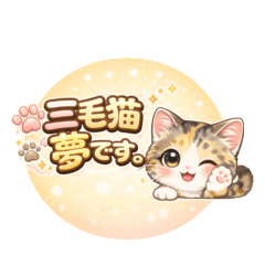 三毛猫　夢です。