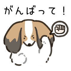 ファーレンのパピヨンちゃん