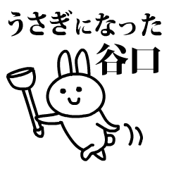うさぎになった谷口