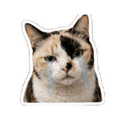 Juliet v.4.1