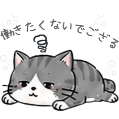 だるねこ「だるぅ」の日常