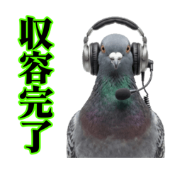 【鳩】謎の機関にいるハト