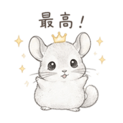 ゆるかわチンチラ♡日常