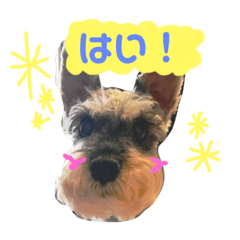 大好きペット！身内編①