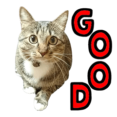 ちょこはるの毎日使えるスタンプ 2