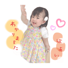 りんたんの毎日