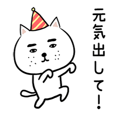 憎めないブスネコ