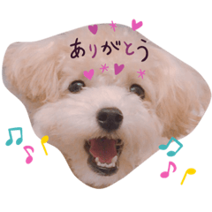 可愛こ♡くるり♡