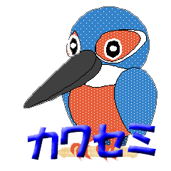 カワセミ
