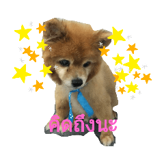 Jerry_20191102163445