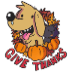 Thanksgiving with Koda