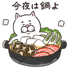 目付きの悪い猫5