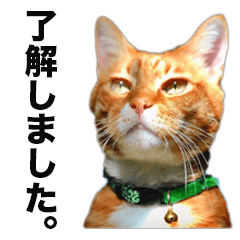 ナナネコスタンプ