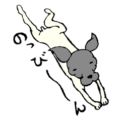 日本テリア☆祭り！