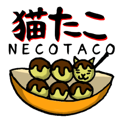 たこ焼き猫のマイペースな日常