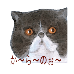 にゃんこがいっぱい