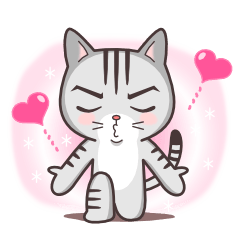 お調子者！アメリカンショートヘアもふ君