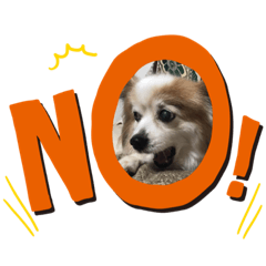 テツ子とムク男