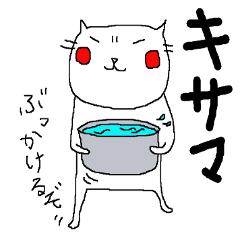 ノラ猫けんけん５