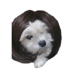 セロ子スタンプ