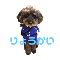 どっく＆きゃっとcare