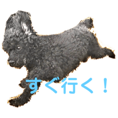 ボクの名前はかふぇ