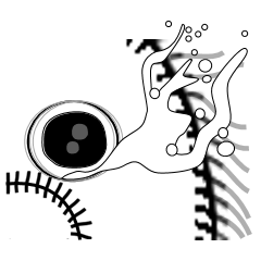 落武者うさぎ２