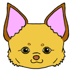 チワピンかとみ