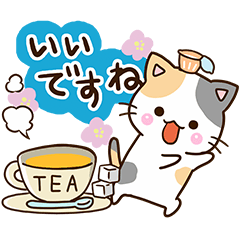 お茶目な三毛猫【敬語編】