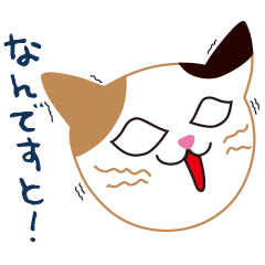 かぎしっぽの三毛猫