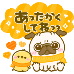 あったか♡冬パグちゃん