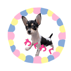 うちのぎゅう様2