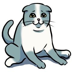 低姿勢なスコティッシュフォールド