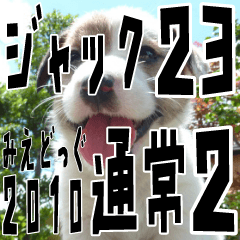 みえどっぐスタンプ ジャックラッセル編 23