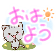 やさしいアメショ【優しい文字】