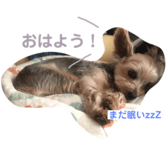 犬メインの動物たち【セリフ】