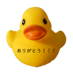 あひるの日常スタンプ