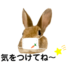 うさぎのしめじ時々もうふ