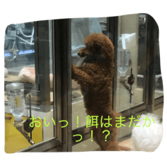 動物！！！！！！！！！！