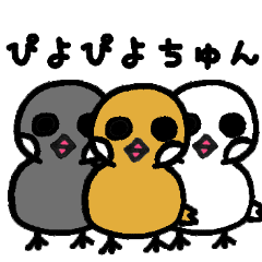 文鳥ぴよぴよ
