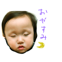 きこちゃんの日常