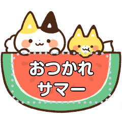 きつねっこ夏のメッセージスタンプ