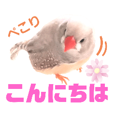 キンカーズの日常Part1