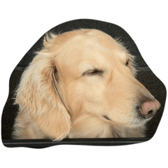 ごろごろロールちゃん