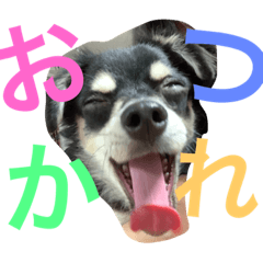 ティラミスの憂鬱