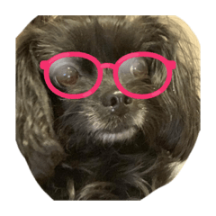 美人だと知っている　ゆずちゃん