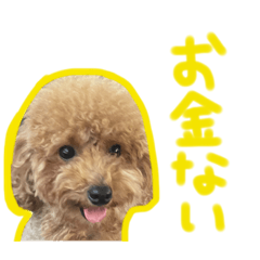 イヌのぷーさん