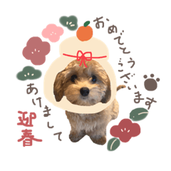 ちわぷーのちまきちゃん