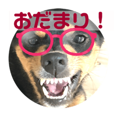 4つ目のラッキーちゃん4